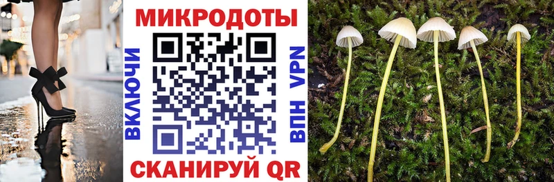 Псилоцибиновые грибы Magic Shrooms  продажа наркотиков  Новотитаровская 